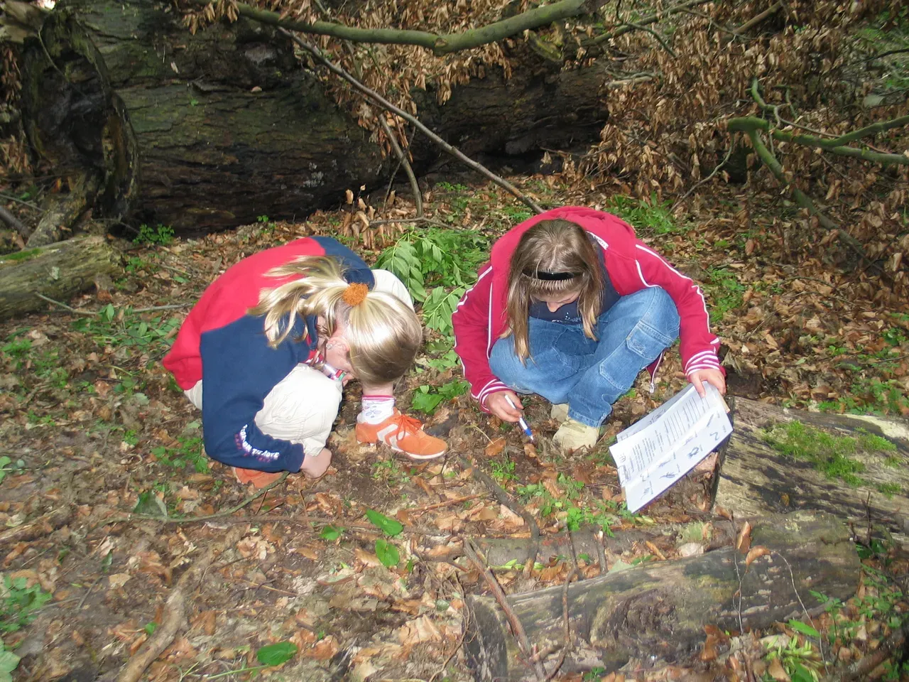 Le­bens­raum Wald­bo­den